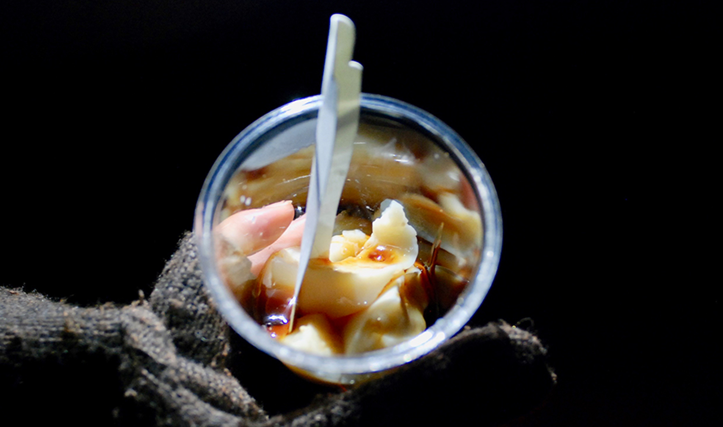 高校生がつくったデザート